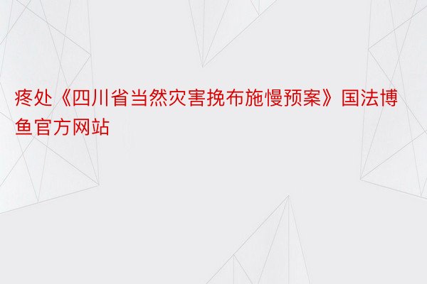 疼处《四川省当然灾害挽布施慢预案》国法博鱼官方网站